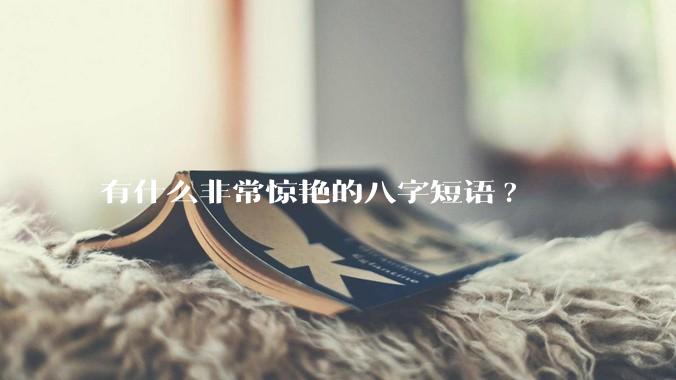 有什么非常惊艳的八字短语?